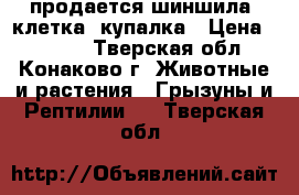 продается шиншила  клетка  купалка › Цена ­ 3 500 - Тверская обл., Конаково г. Животные и растения » Грызуны и Рептилии   . Тверская обл.